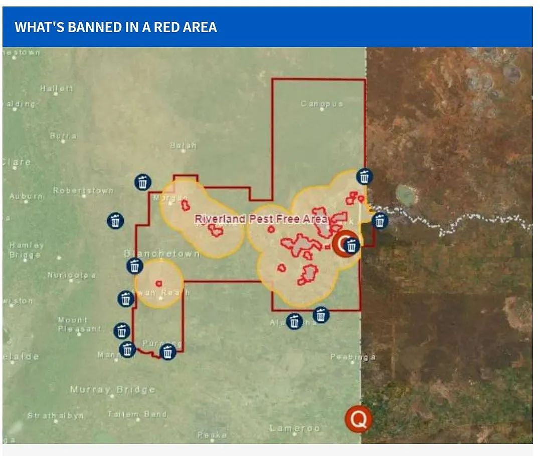 禁止入境！南澳边境禁止携带果蔬清单；Flinders Ranges获评世界顶级旅游地（组图） - 2