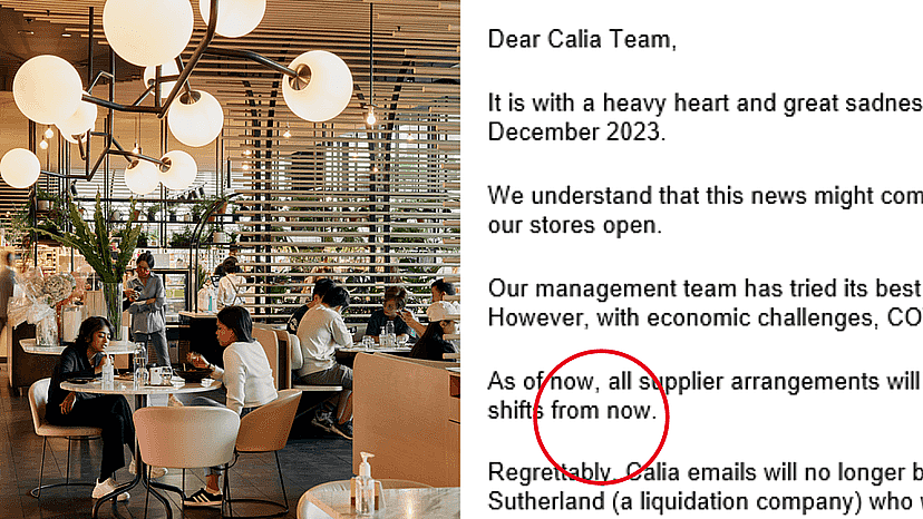 澳网红餐馆宣布停业，百人瞬间失业！曾有不少华人打卡！华裔老板：已尝试一切办法挽救！倒闭风险最大区公布……（组图） - 1