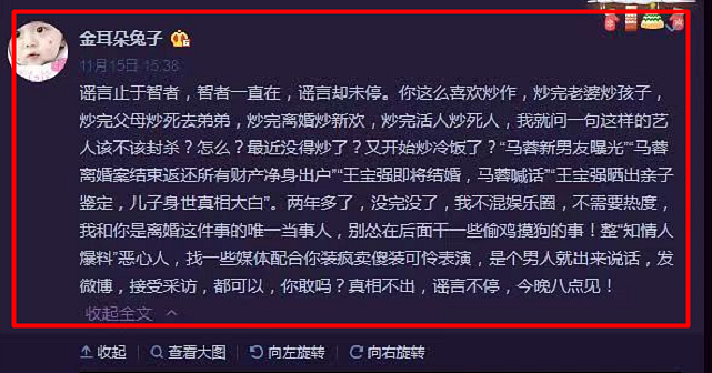 宋喆出狱近照曝光，马蓉疑移民澳洲！“出轨门”8年，一切物是人非（组图） - 28