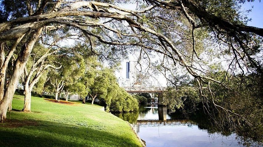 排名 | 提高城市密度的前提！悉尼各区树木覆盖率公布！西区种100万株绿树逆袭榜首！（组图） - 7