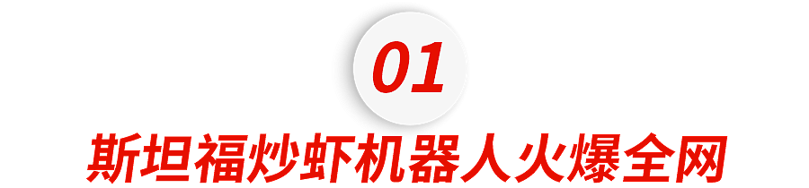 火爆全网！华人学霸花3万开发家务机器人，能做满汉全席还会洗碗……（组图） - 1