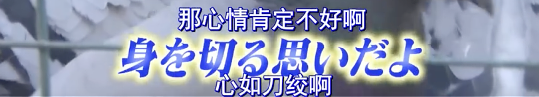 至今为止最好笑！月曜天津篇赢麻了，天津老年人：为啥爱运动，因为活越长退休金越多…（组图） - 35