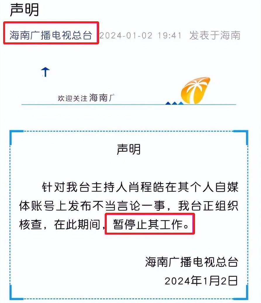 海南主持人因不当言论被停职，胡锡进支持处罚，网友们却不买账（组图） - 15