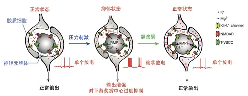 马斯克年内两次回应吸毒！吸食毒品为治疗抑郁症？（组图） - 22