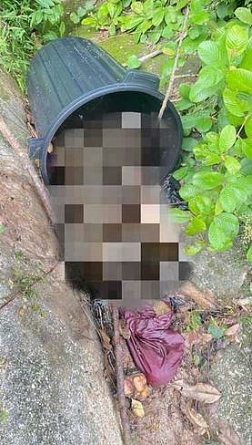 恐怖分尸案！20岁女遭赤裸肢解，残肢弃坑渠垃圾桶，惊揭更多案情（组图） - 2