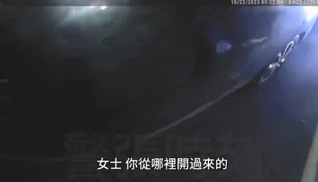中国美女留学生深夜醉驾被逮捕，视频疯传！网友争议极大（组图） - 1