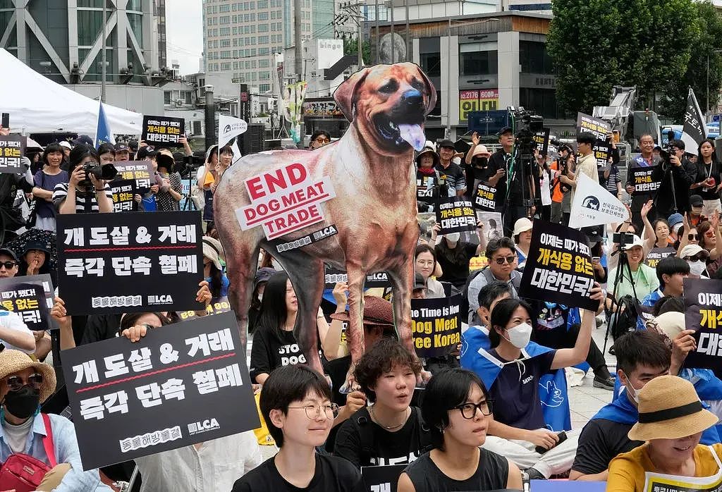 韩国将全面覆灭狗肉产业链，违者面临巨额罚款或监禁？！韩国网友反应不一（组图） - 1