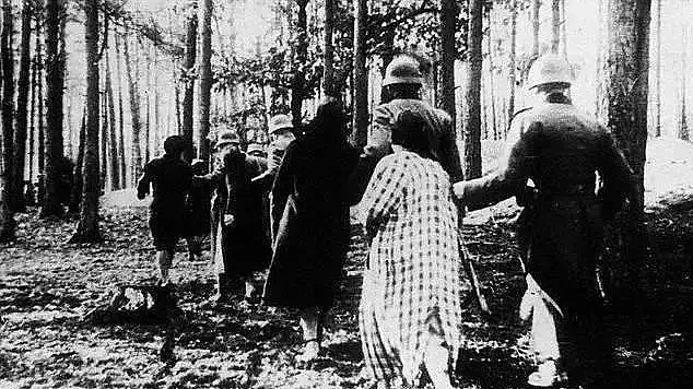 二战德军的慰安所与性暴力：慰安妇每天接待百余人，15岁女孩充当奴隶劳工（组图） - 9
