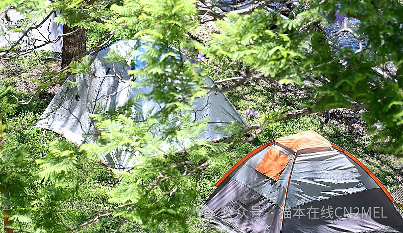 “我宁愿坐牢！ ”华男街头一则采访， 揭开无数澳人的惨状！在澳留学生，竟开始与陌生人共享床位...（组图） - 10