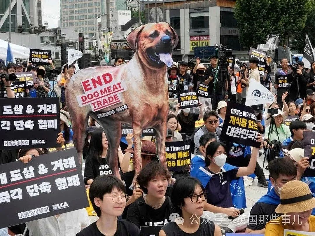 韩国禁止狗肉贩卖！结果反对者扬言要到总统府门口放生200万只狗（组图） - 5