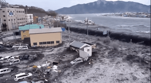 日本地震断水断粮，为什么不捐物资，却捐堆成山的千纸鹤？（组图） - 3