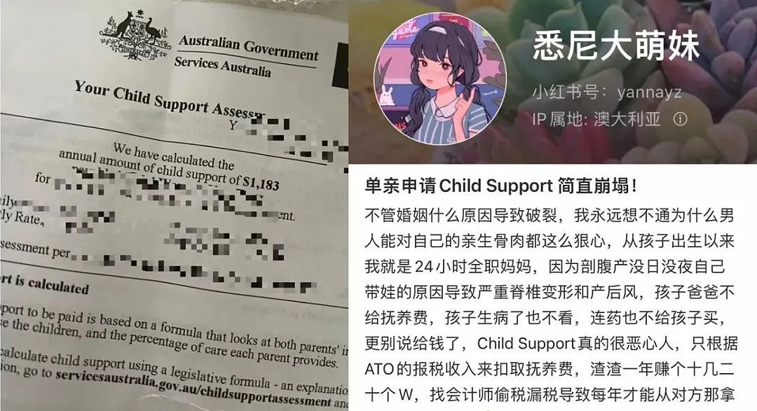 网贴疯传！悉尼华人单亲妈妈控诉前夫，自己落下病根后“求救无门”…（组图） - 1