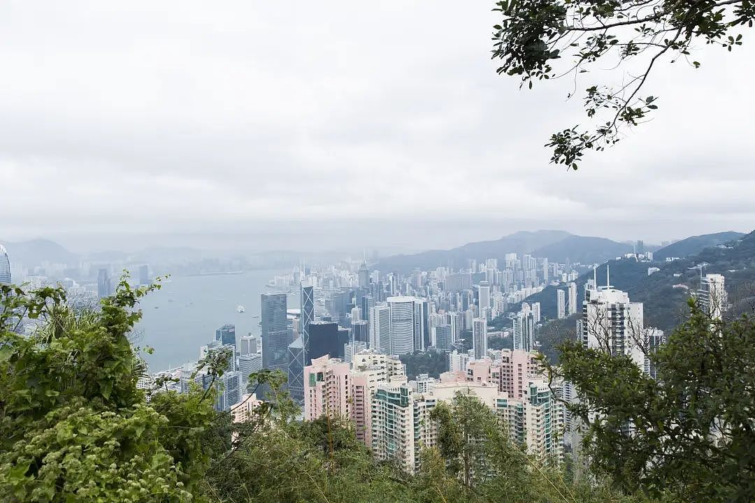 内地网红硬闯香港豪宅，就是不听劝！（组图） - 3