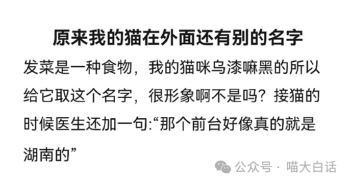 【爆笑】​“放假回家的大学生有多癫？”哈哈哈哈哈哈哈好美的精神状态（组图） - 64