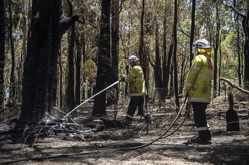 14日已发生超过25场火灾！澳洲西部森林大火，数百消防员出动（图） - 1