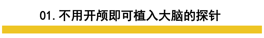 哈佛全奖，曾火遍全网的“门萨女孩”张安琪，现在怎么样了？（组图） - 3