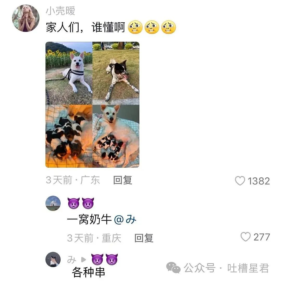 【爆笑】46w买了lv包，拆开后？网友：这果然是有钱人玩的梗（视频/组图） - 105