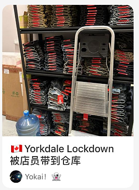 加拿大Yorkdale爆发骚乱！大批华人被紧急封锁店内！人群尖叫逃命，警察持枪里外包围（组图） - 10