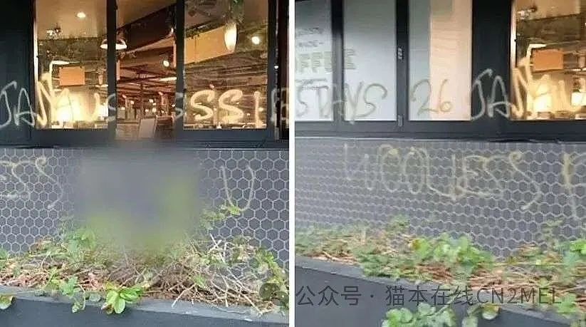 因停售澳洲日产品，Woolies一门店遭破坏！外墙被涂鸦辱骂，还有人放照明弹（组图） - 2