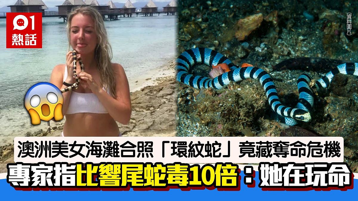 惊！澳美女海滩合照“环纹蛇”；专家指比响尾蛇毒10倍：她在玩命（组图） - 1