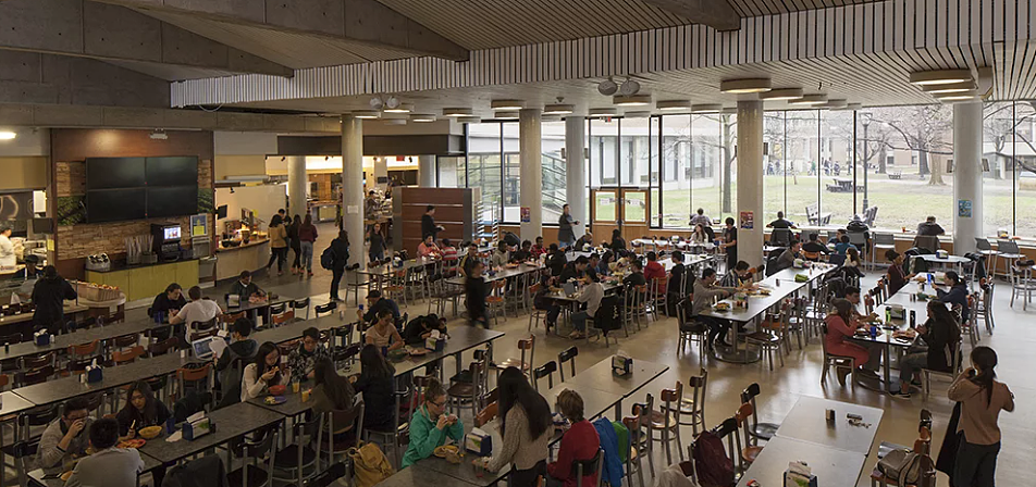 震惊！加国多伦多大学网红食堂“翻车“了！学生自曝多次食物中毒，老鼠苍蝇乱窜（组图） - 5