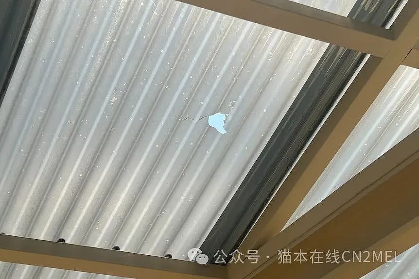 墨尔本烟草店接连着火，警方调查黑帮“地盘之争”（组图） - 3