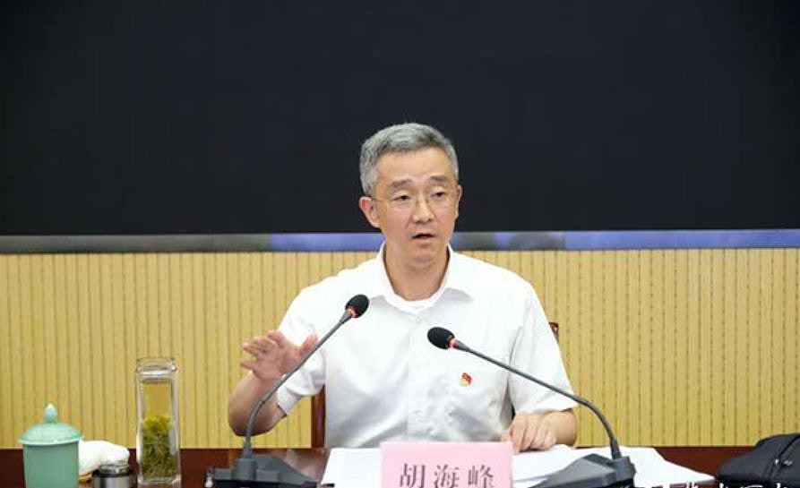 胡锦涛之子胡海峰获任命为民政部副部长，晋升为副部级高官（组图） - 4