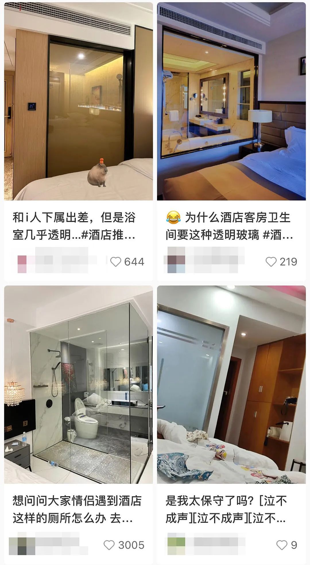 风靡中国的“透明厕所”亮相新西兰五星酒店！游客惊掉下巴，本地人要求整改......（组图） - 14