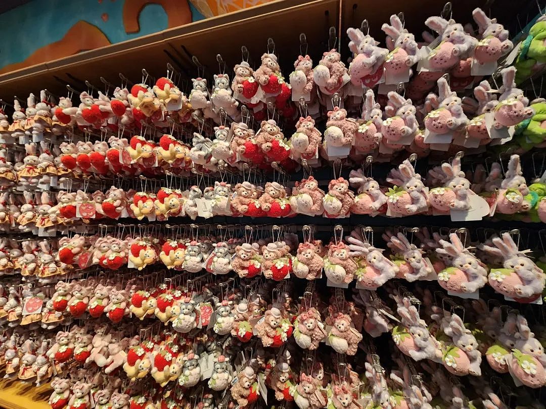日媒：中国游客涌入东京迪士尼扫光限量周边，在网上高价倒卖，日本人愤怒了！（组图） - 8