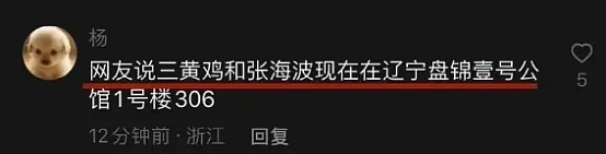 百万女网红自曝遭婆家殴打，老公出轨，跟小三育有私生子，耗尽青春！更多细节被扒（组图） - 14