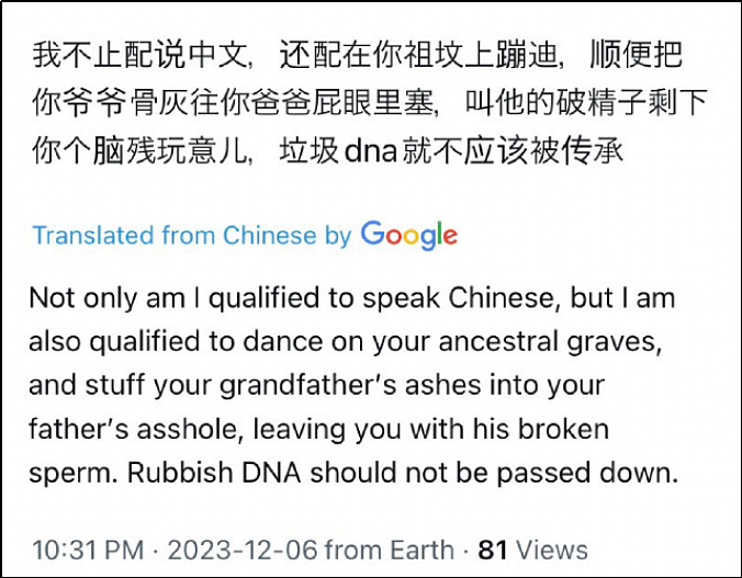 一条中文骂人帖子在外网火了：中文脏话，震撼世界（组图） - 5