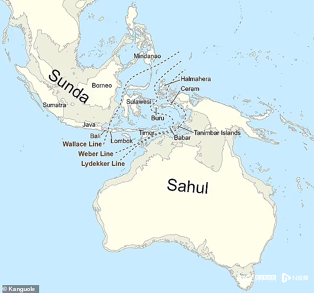 澳大利亚海岸惊现“失落大陆”，7万年前曾是50万人的家园（组图） - 2