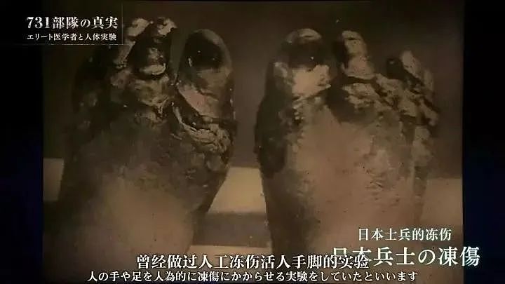 哈尔滨731罪证陈列馆‍，“中国人是出色的实验材料，尸体也不要放过”（组图） - 6