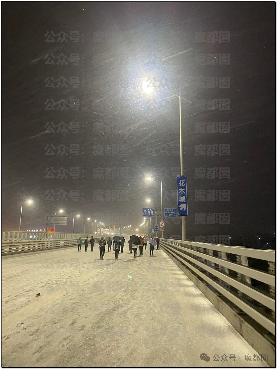 疯传！中国南方突降暴雪，几十部汽车诡异碰撞变形，现场极为惨烈（组图） - 30