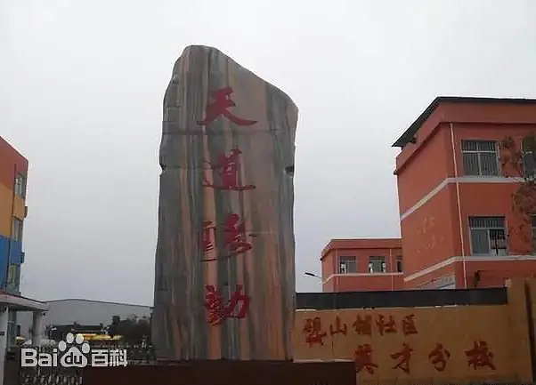 真相逐渐浮出水面，河南带走13名小学生的校园大火，细节越扒越痛心…（组图） - 3