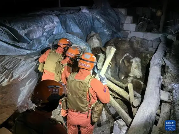 新疆乌什县7.1级地震，居民楼被晃歪了？当地回应（组图） - 4