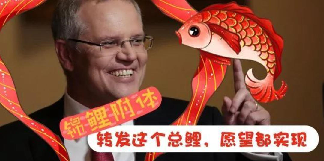 澳洲前总理宣布退政！搞砸中澳关系、和维州硬刚的这条“锦鲤”，终于走了（组图） - 7