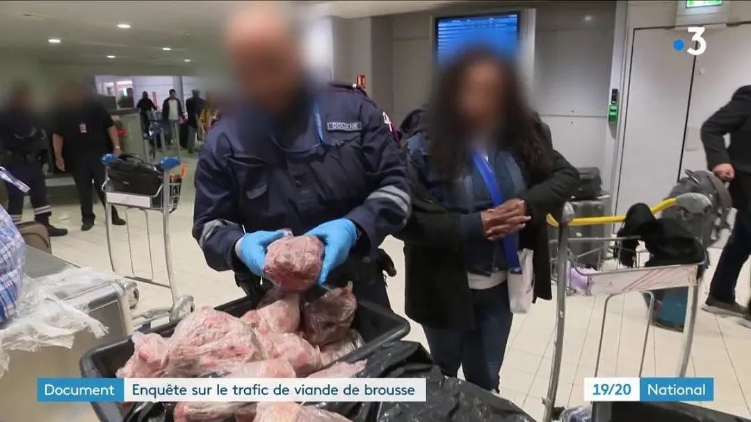 巴黎摊贩卖濒危猴子肉吓坏法国人！从飞机手提箱空运来的！海关安检都吐了啊···（组图） - 11
