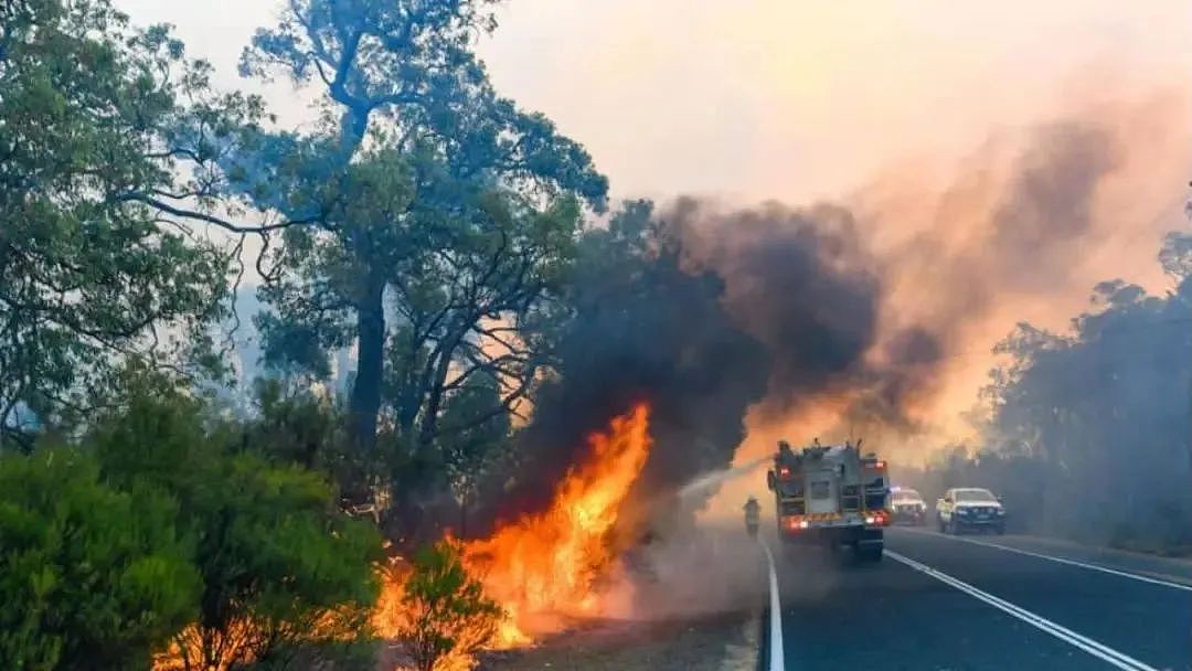 澳洲进入危险时期！热浪来袭，悉尼高温警告，新州北部40度！山火风险激增！新州遭致命威胁，或再次实施严格封锁政策（组图） - 7