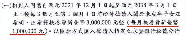 大S再告汪小菲！男方已支付1032万抚养费，离婚协议曝光引热议（组图） - 9