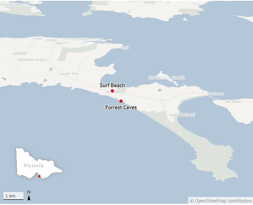 崩溃了！一家4口人死在菲利普岛！墨尔本20年来最惨的事件（组图） - 5