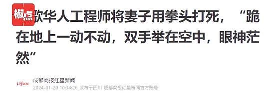 反转！谷歌清华夫妇血案真相曝光：精英男士，是最应该警惕的“杀猪盘”（组图） - 4