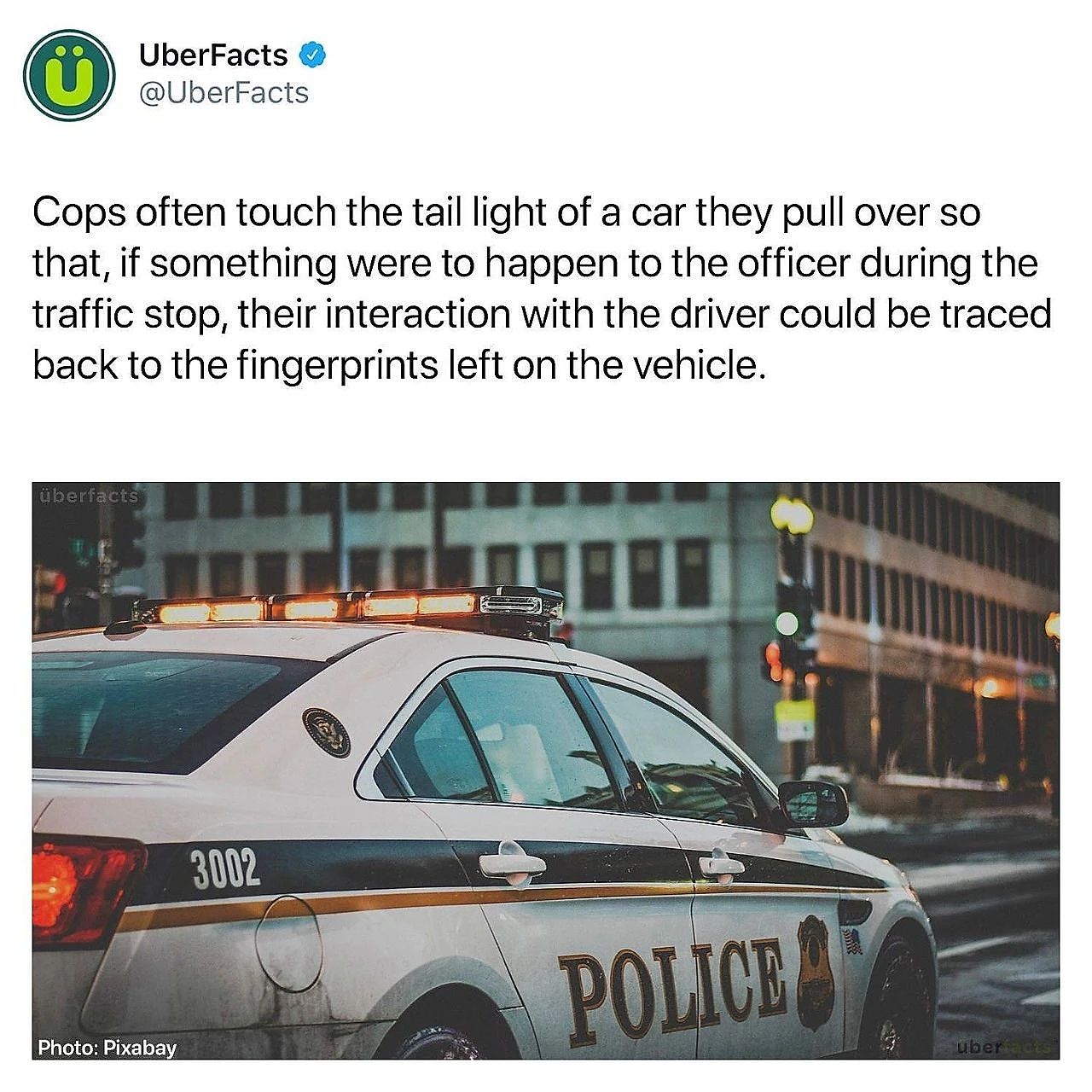 为什么美国警察在拦停汽车后，首先要摸一下车屁股？（组图） - 9
