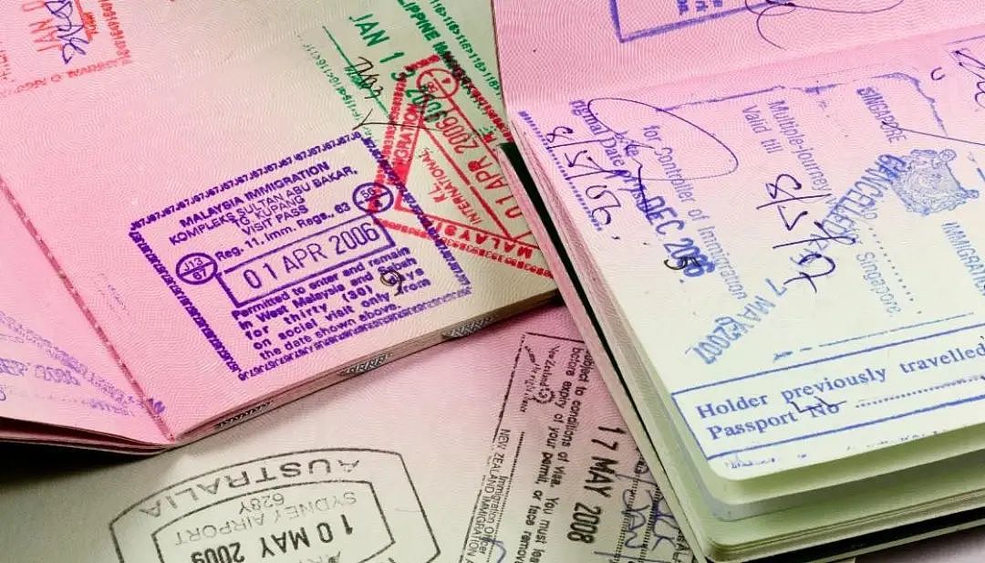 华人游客称要打车去新西兰南岛，签证当场被取消！澳新机票将大幅下降（组图） - 4