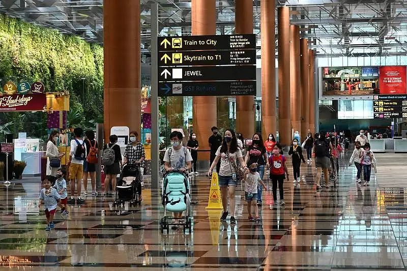 全网刷屏！中国游客要涌进新加坡了，免签后入境有这6大问题（组图） - 33