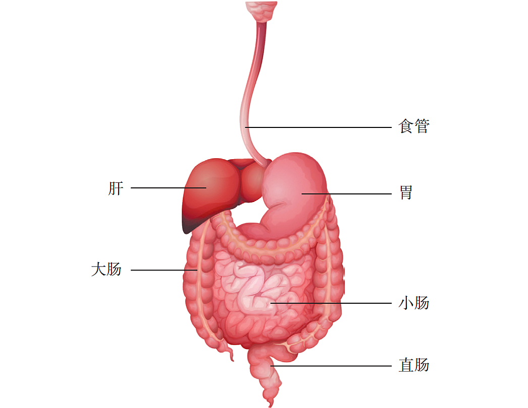 “吃出来”的癌症！喉咙出现这4种症状，可能是食道癌预警……（组图） - 1