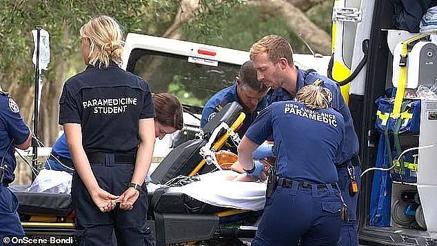 悉尼最热门的公园出意外，5岁男童伤势严重紧急入院！夏季户外场地危机四伏，妈妈们一定要注意（组图） - 7