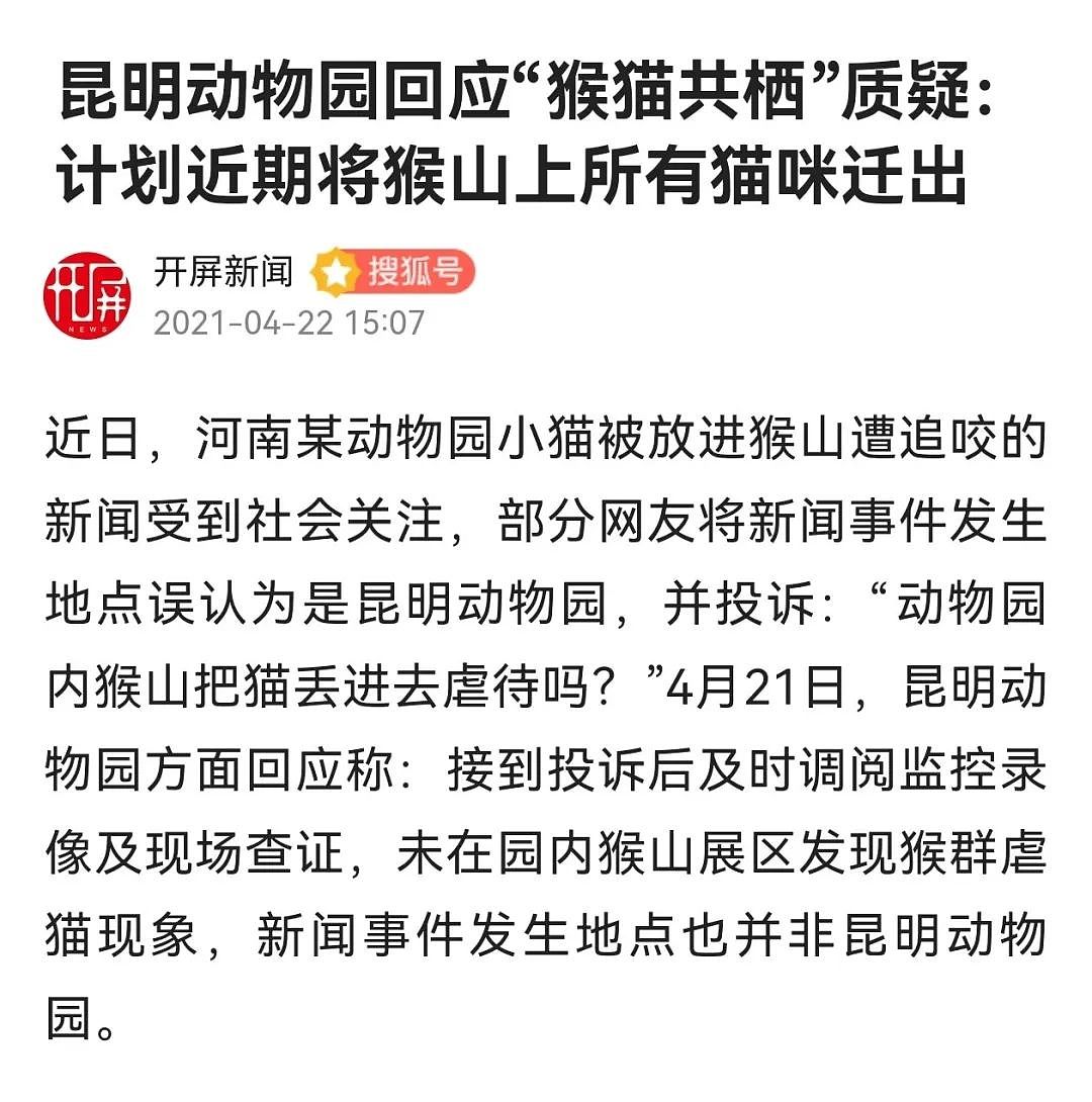 昆明动物园千人围观虐猫，凶手10年不知悔改？美女路人的举动亮了（组图） - 10