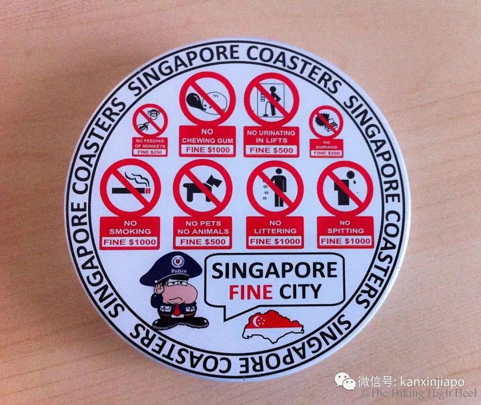 冲上热搜！“去新加坡旅游，一不小心就变穷光蛋”（组图） - 2