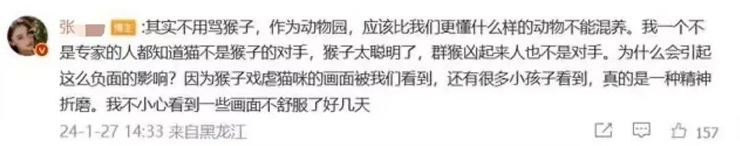 昆明动物园千人围观虐猫，凶手10年不知悔改？美女路人的举动亮了（组图） - 18